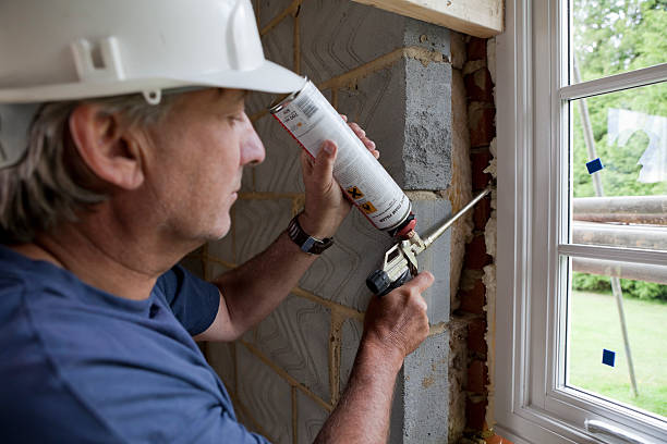 Best Insulation Maintenance and Repair in Eclectic, AL